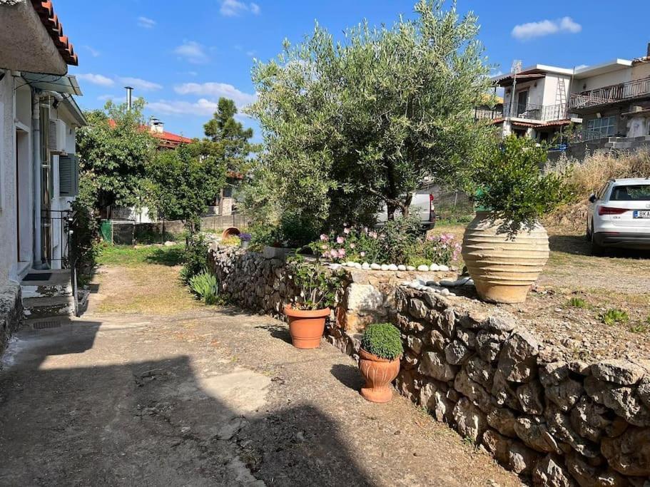 Guesthouse Simou With View 3 Bedrooms Arachova Eksteriør billede